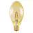 Ledvance Vintage 1906 LED E27 Gold 4W 470lm - 824 Extra Warm White | Replaces 40W